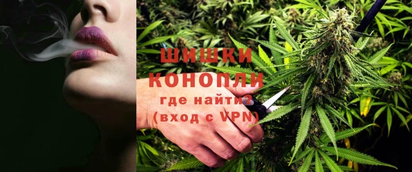 PSILOCYBIN Алексеевка