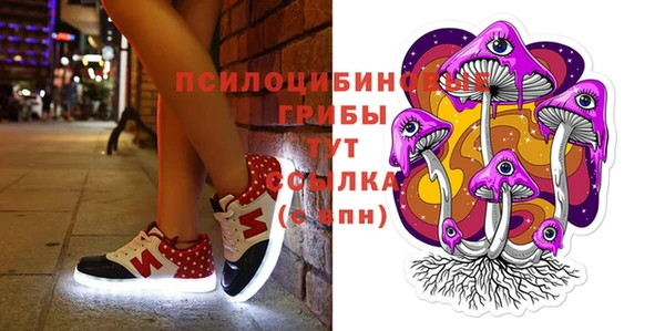 стафф Протвино