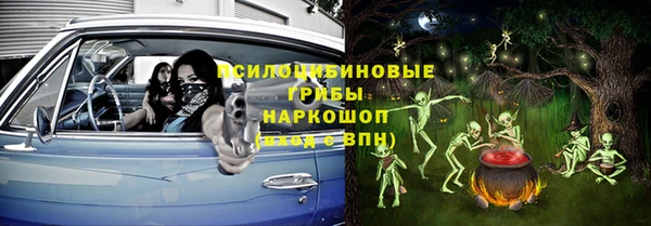 PSILOCYBIN Алексеевка