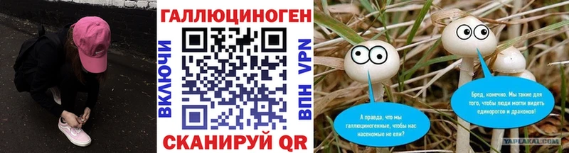 Псилоцибиновые грибы ЛСД  Белореченск 